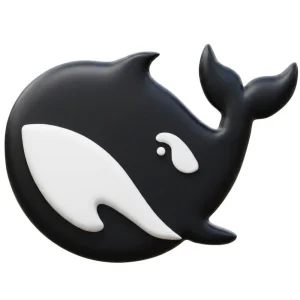 DeepSeek - QT
